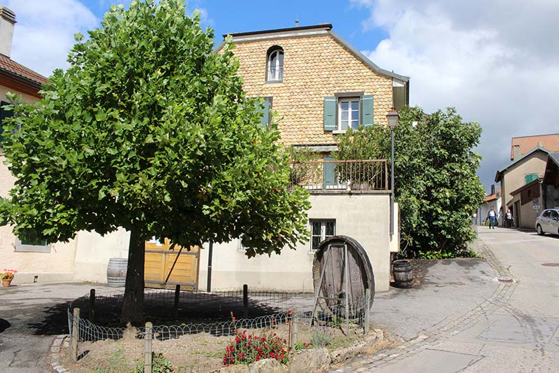 Cave du Vieux Coteau Producteurs de vin